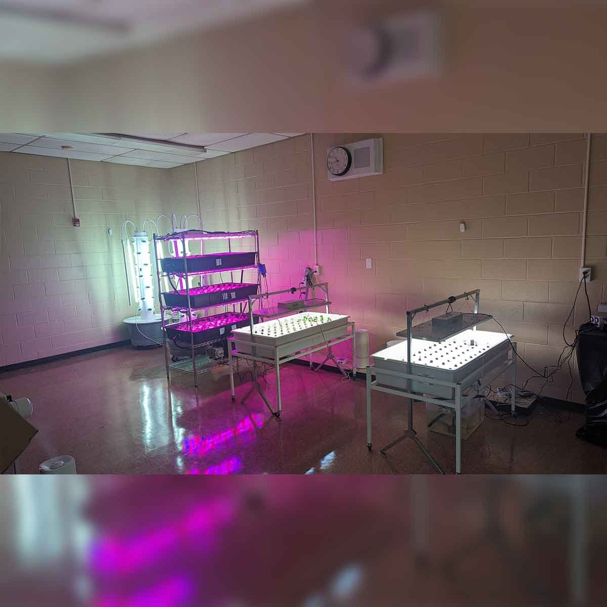 Hydroponic racks at the Sypek Center