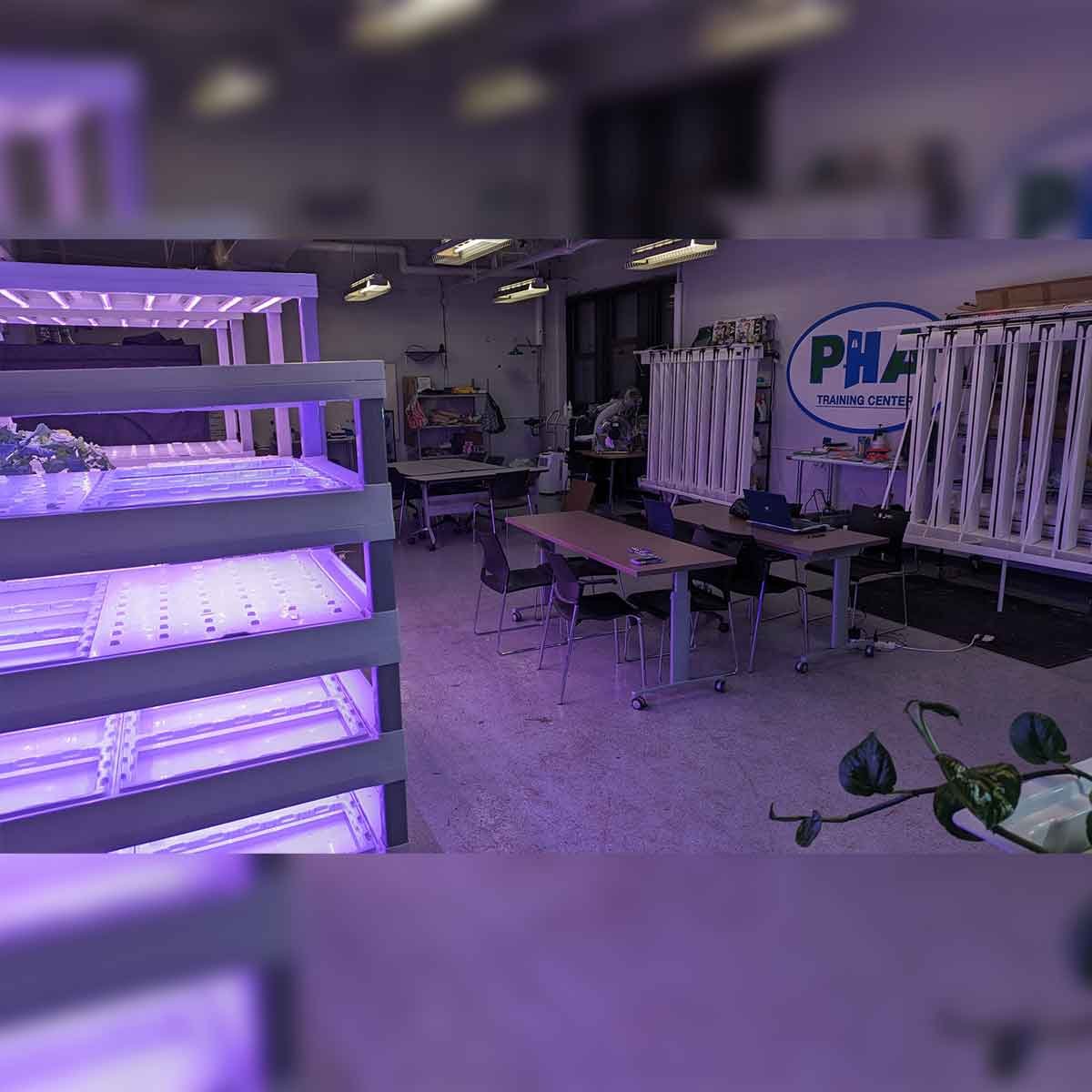 Hydroponic growing racks at Vaux Building in Philadelphia