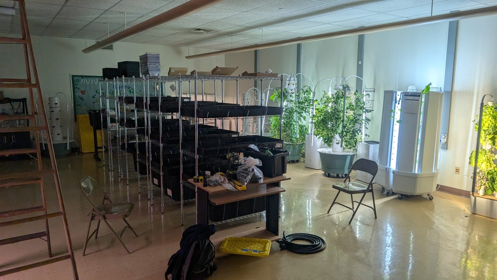 Growing towers and hydroponic racks inside the Copewood growing room